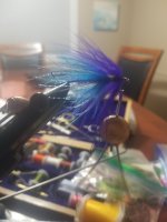 20230115_211245.jpg 20230115_211245.jpg
