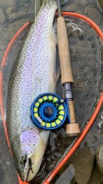 T&T Combo - Fish.jpg T&T Combo - Fish.jpg