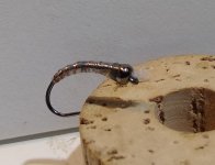 IMG_20230120_195822300.jpg