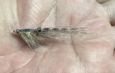 IMG_0923.jpeg