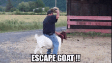 F8B21667-BB73-47A2-A2C1-5FE468C668E4.gif