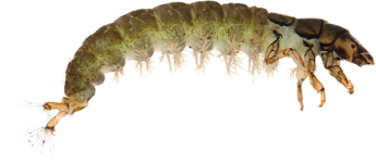 1674623246478.png