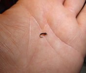 IMG_20230124_205458198.jpg