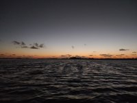 20230124_065154.jpg 20230124_065154.jpg