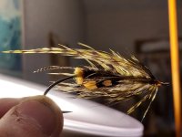 20230125_191835.jpg