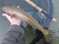 PXL_20230125_234842554.MP.jpg PXL_20230125_234842554.MP.jpg