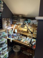 F0F9E156-083E-4AAA-BB7B-D36C17A38E0D.jpeg