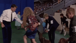 giphy (2).gif giphy (2).gif