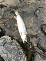 IMG_0526.JPG