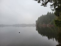 20230126_155455.jpg