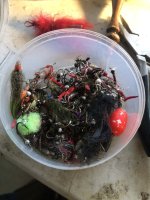 IMG_0945.jpeg