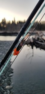 20230129_075451.jpg 20230129_075451.jpg