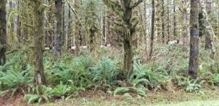 20230128_093821.jpg 20230128_093821.jpg