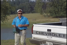 img.gif