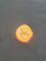 20230130_083817.jpg 20230130_083817.jpg