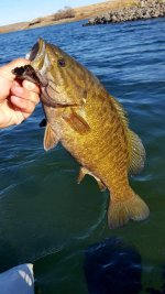 IMG_20191027_201325_033.jpg