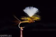 fotor_2023-1-30_16_29_59 - edit 1.jpg