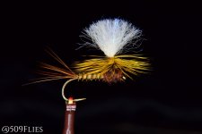fotor_2023-1-30_16_32_12 - edit 1.jpg