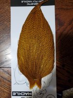 20230130_210435.jpg