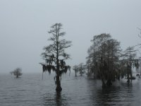 C7017C9B-D953-463E-9EA3-3C0C80CE260F.jpeg