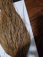 20230131_094424.jpg
