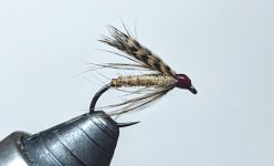 PXL_20230131_192914347.jpg PXL_20230131_192914347.jpg