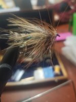 20230129_203501.jpg