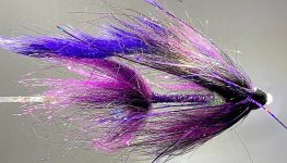 PURPLE.jpg PURPLE.jpg
