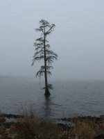 7DB00974-2078-4B8C-9215-9BC7DBE6EDD9.jpeg 7DB00974-2078-4B8C-9215-9BC7DBE6EDD9.jpeg