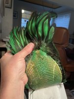 6082463E-82A6-4F23-A0EE-358585DDE28E.jpeg