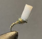 ED876E38-9FD5-4ADC-82CE-B7B0904BCEAE.jpeg