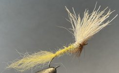 5C657129-11C6-4F7D-901D-EE15D97E570A.jpeg