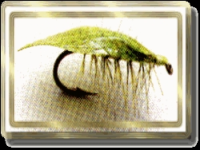 1675965092096.png