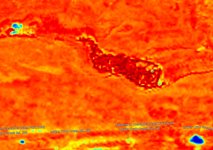 Lenice aerial photo with Moisture Index filter 2023-02-08.jpg Lenice aerial photo with Moisture Index filter 2023-02-08.jpg
