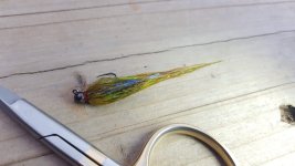 20201027_164248.jpg