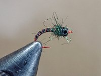 D51F2D61-E6FA-48A8-9D3D-295E8D9FFFA3.jpeg