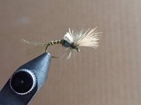40059803-D252-4CF6-9141-DD5D05C530BA.jpeg
