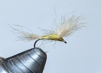 PXL_20230212_023018218.jpg