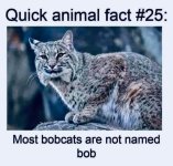 329054845_1387314925413426_3599753069638534457_n.jpg
