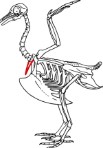 1676310946962.png 1676310946962.png