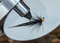 PXL_20230214_215004876.jpg