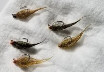 20230215_101246.jpg 20230215_101246.jpg
