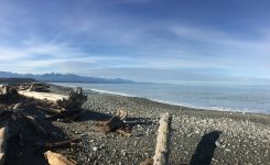 E7080DA5-248F-4D25-87F2-822D07AF7D39.jpeg