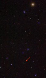 cometfeb17th.jpg