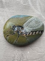 IMG_0716.jpeg