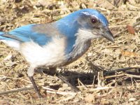 IMG_3829.JPG