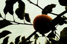2B3E4096-65C6-4885-B9BD-603E808C4D18.jpeg