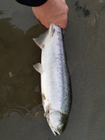 20170827_062656.jpg