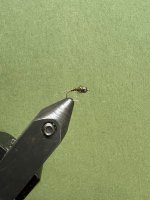 E0F06F9F-826F-42DA-844F-1ADE58554BB6.jpeg