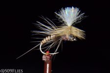 DSC_0163.jpg